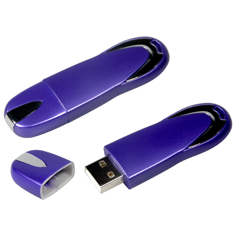 1011FMS - Flash Memory Drive V2.0 1