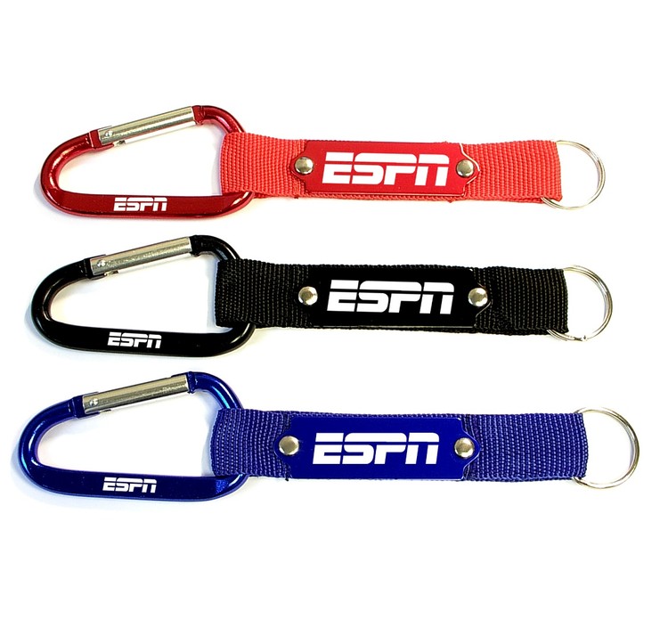 Carabiner with Strap and Metal Plate