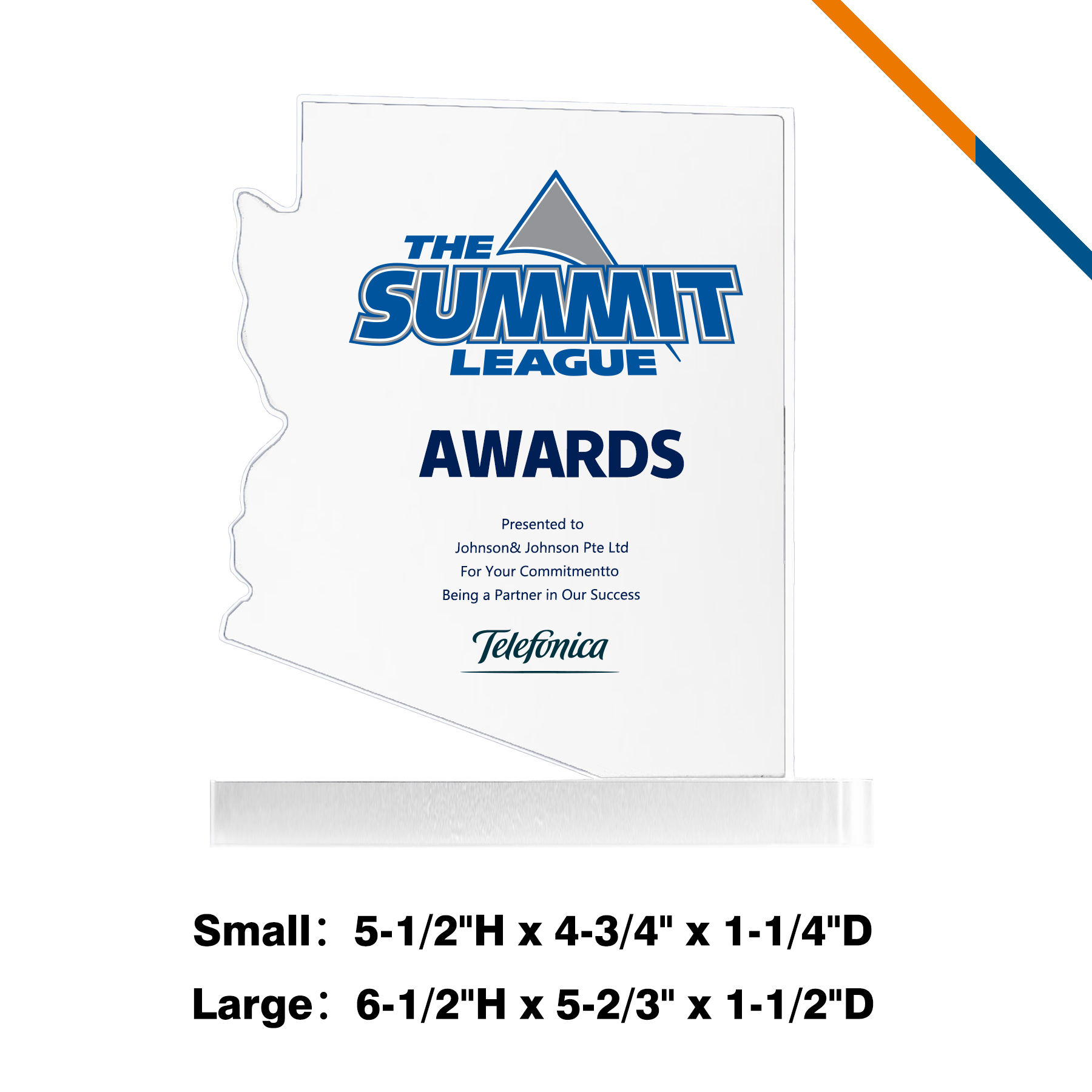 Ricty Arizona Map Award 4