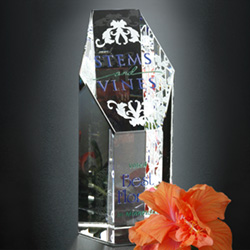 Citadel Award 3