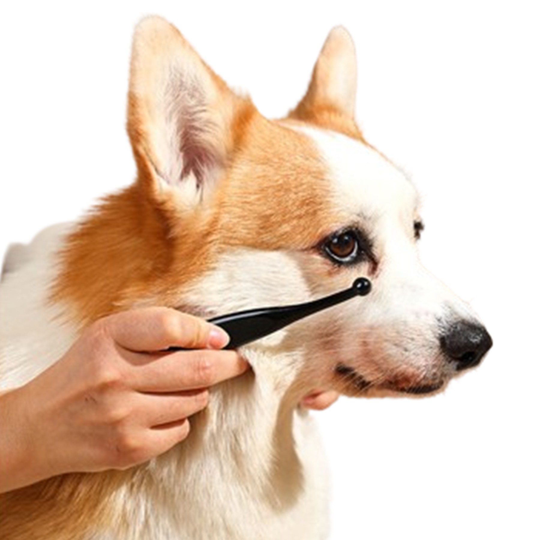 Pet Tear Remover Brush 4
