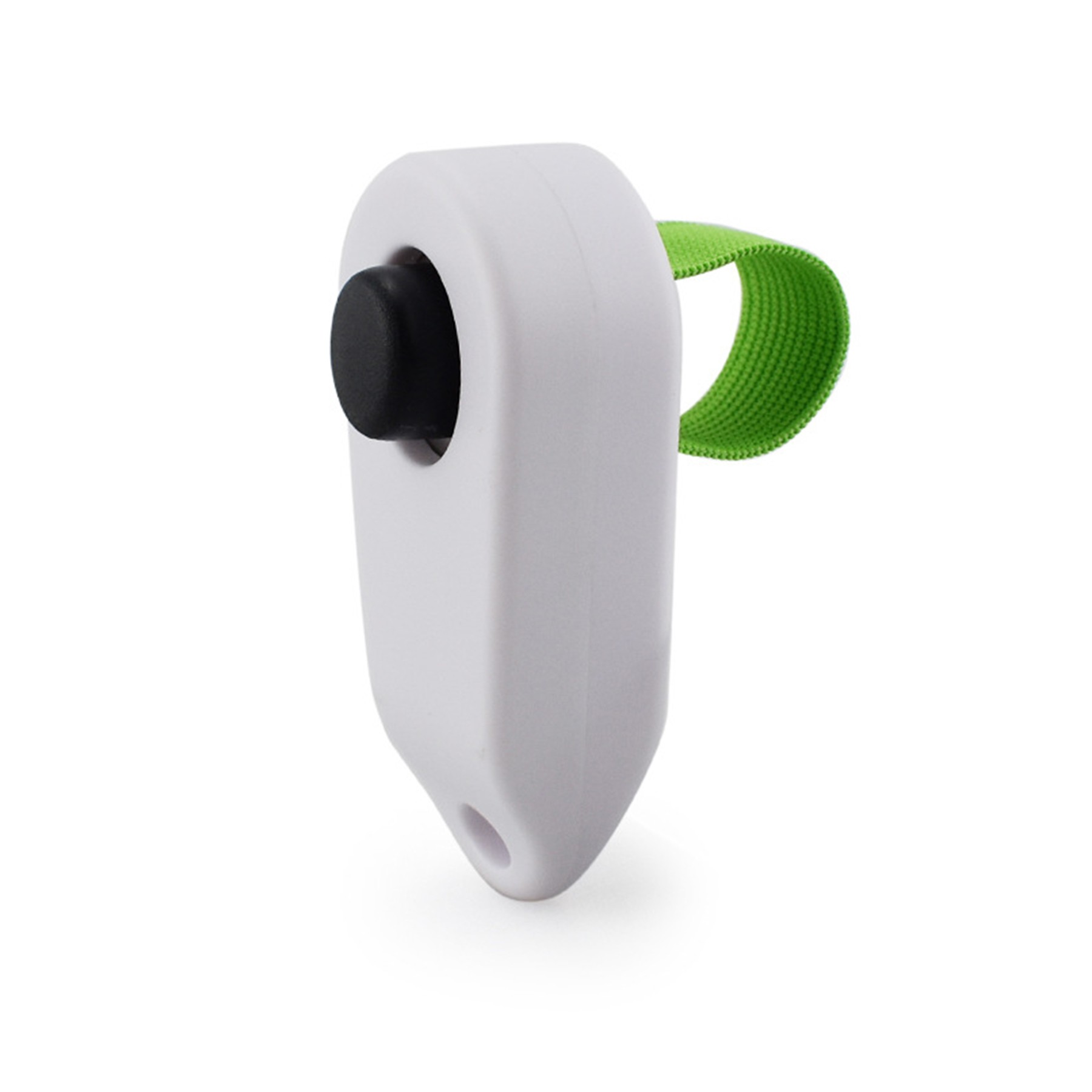 Pet Training Clicker 1