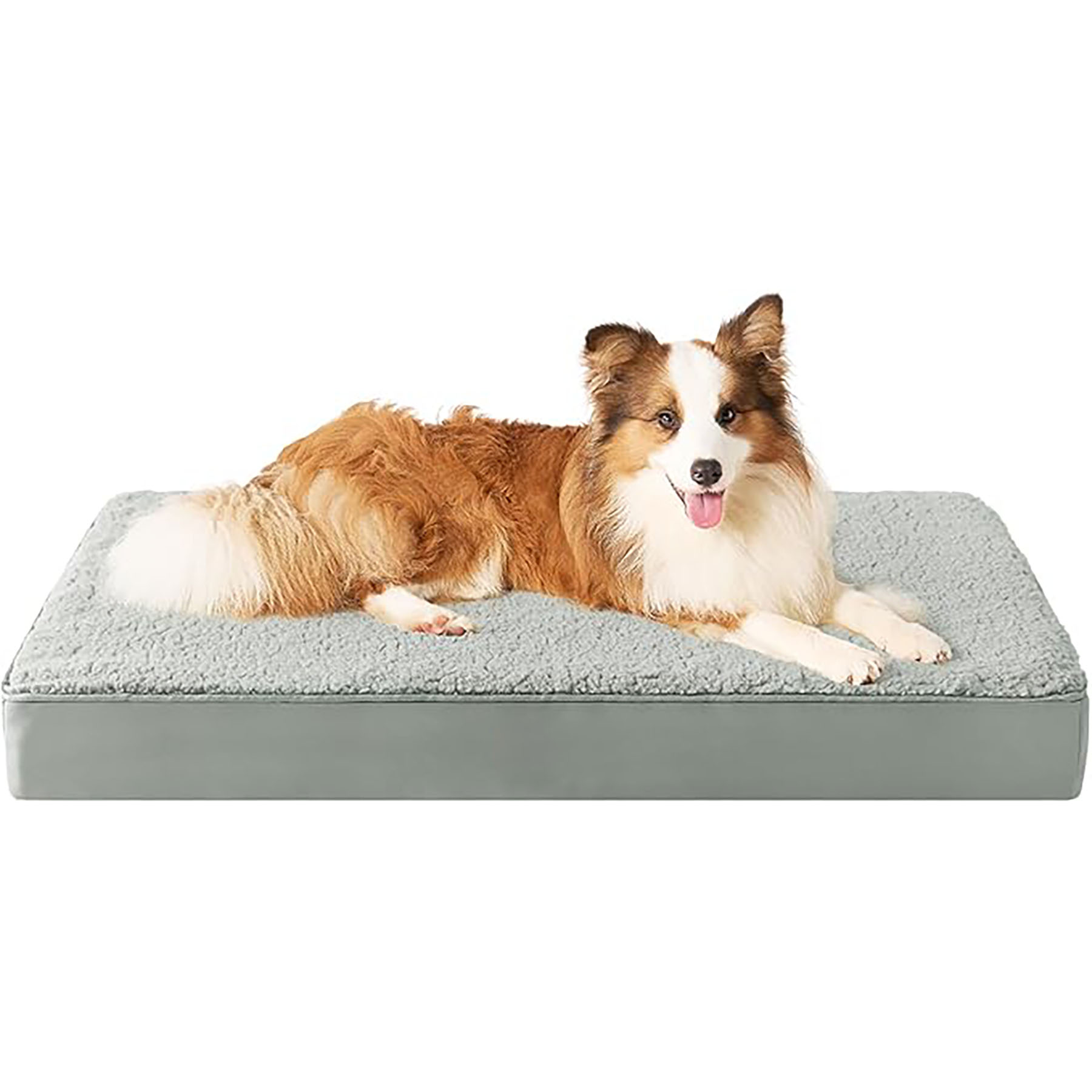 Dog Beds 10