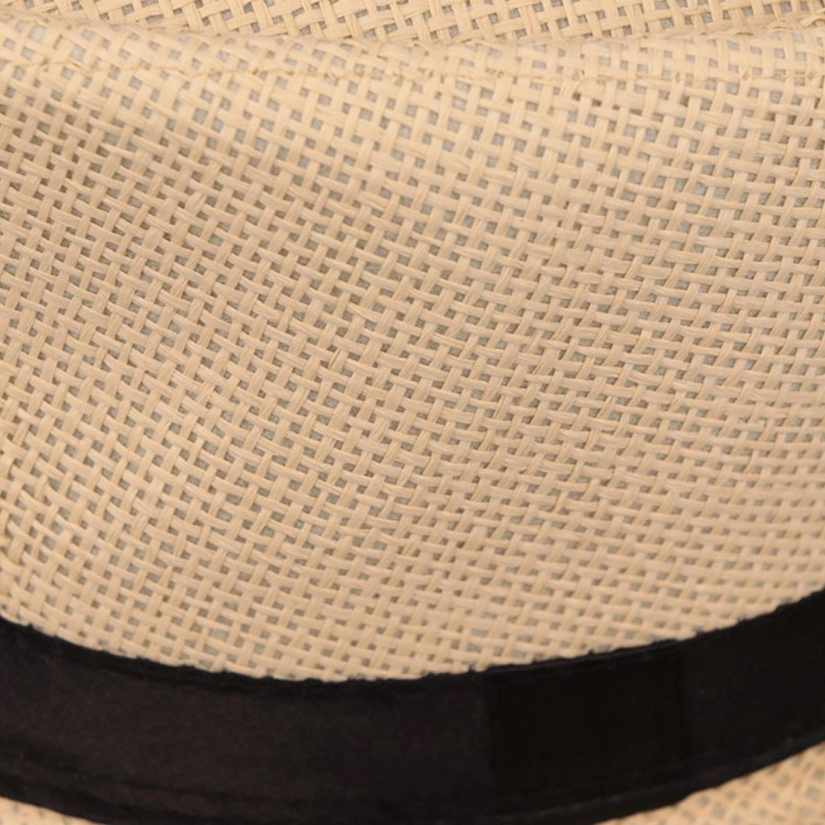 Adult Summer Jazz Hat 3
