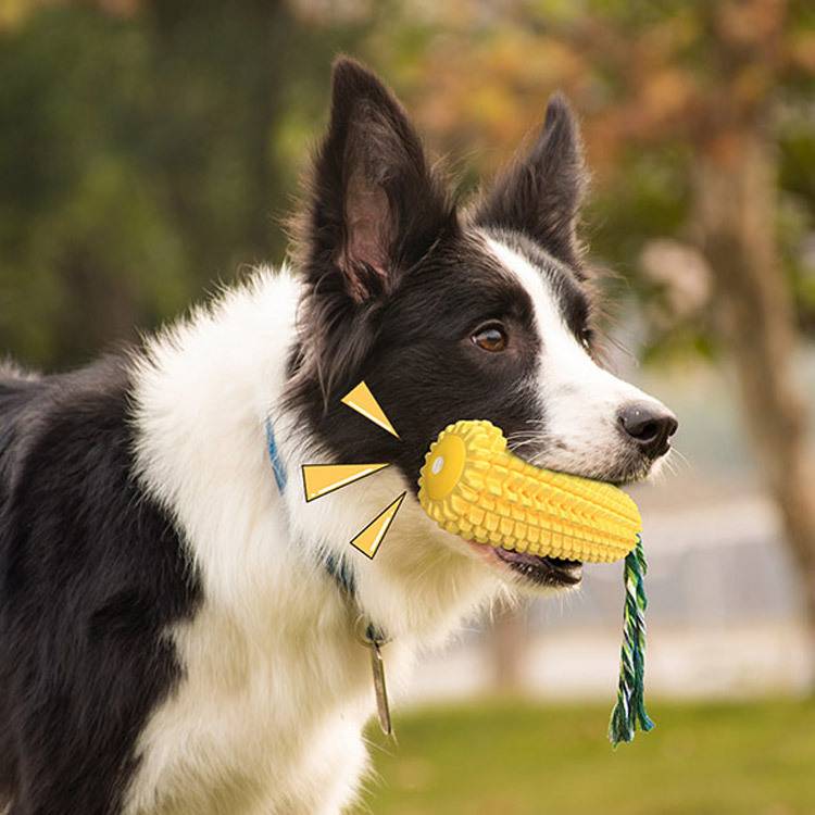 Dog Chew Stick Pet Toys 2