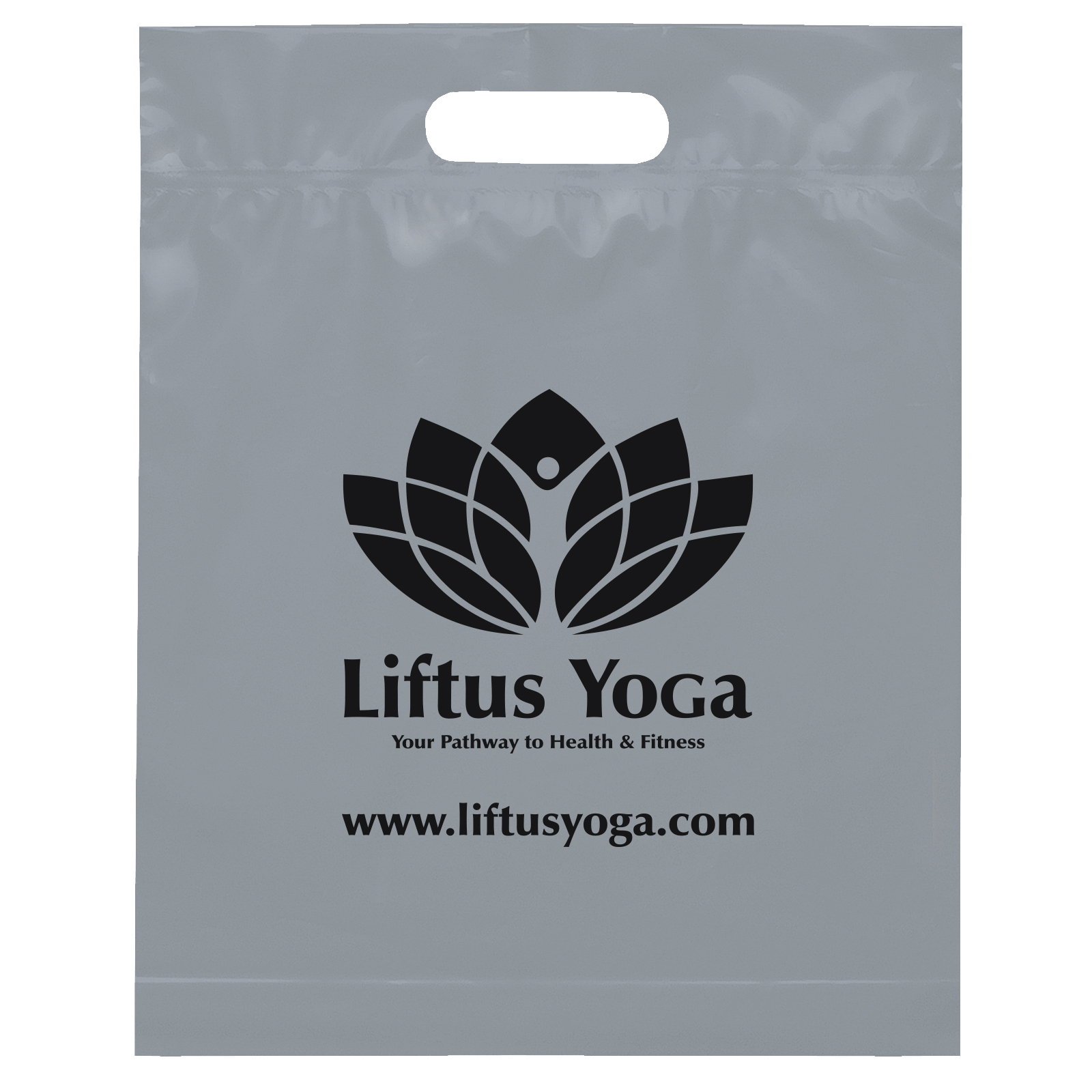 Die Cut Handle Bag - 12W x 15H x 3 - Flexo Ink Print 4