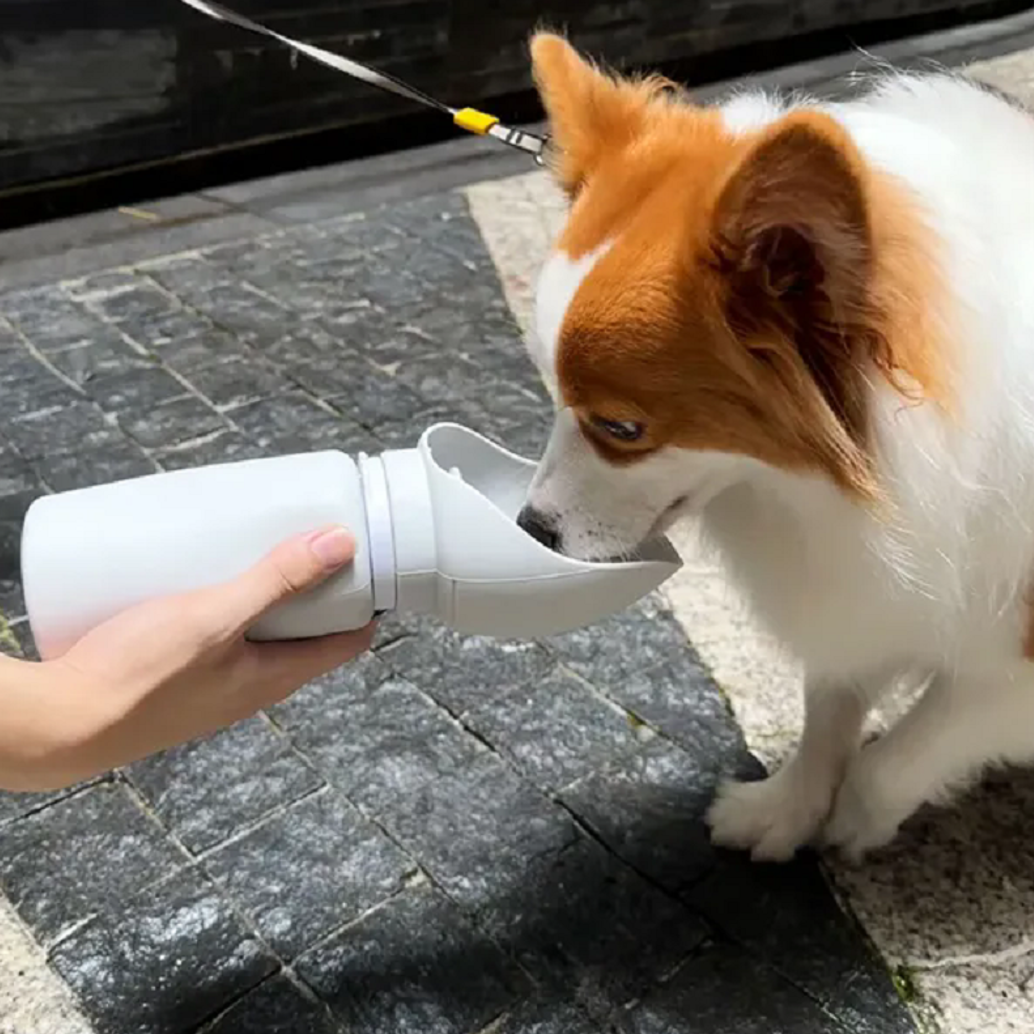 Collapsible Silicone Dog Water Bottle 3