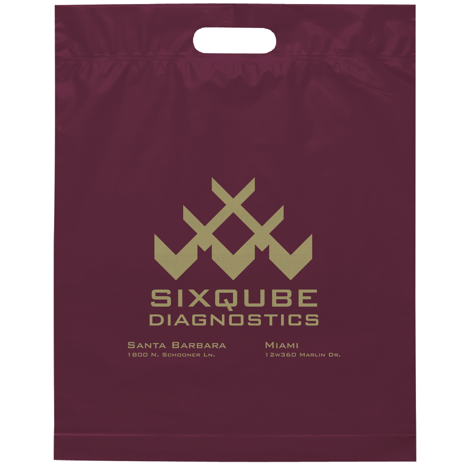 Die Cut Handle Bag - 15W x 19H x 3 - Flexo Ink Print 23