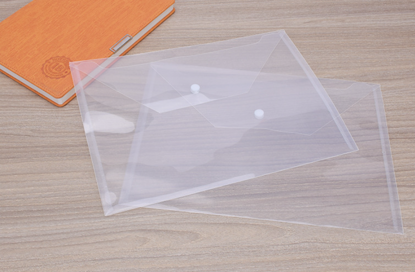 Snap Transparent Document Bags 1