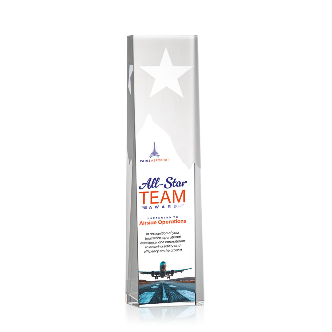 Artemus Star VividPrint™ Award 10