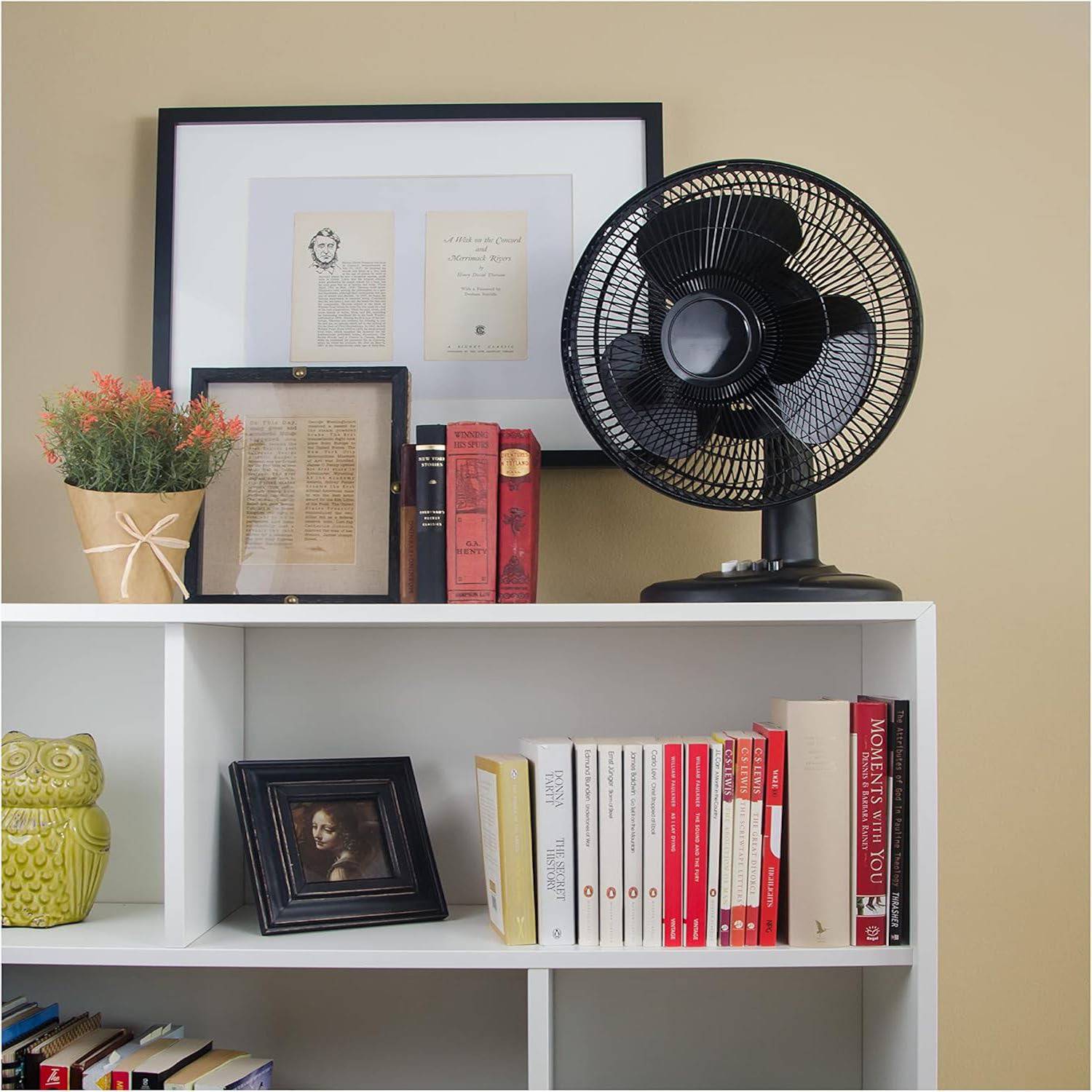 12 inch Oscillating Table Fan 6
