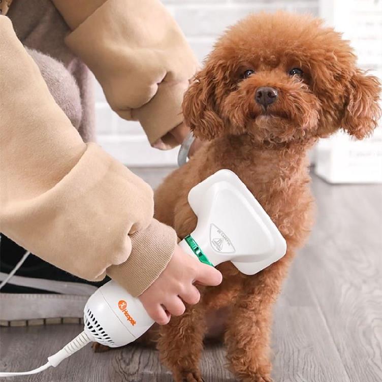 2-In-1 Portable Dog Hair Dryer And Comb Brush 2