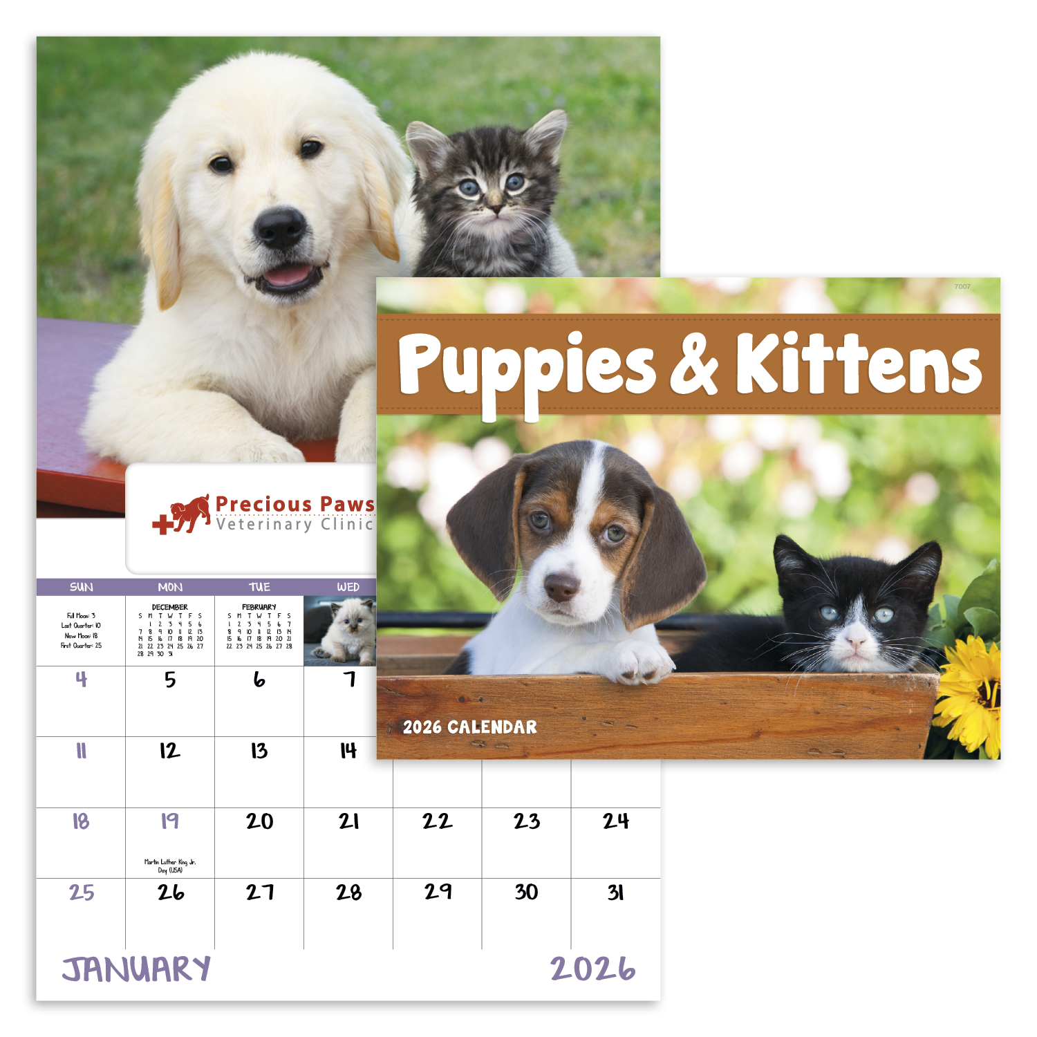Good Value™ Puppies & Kittens - Window Calendar 17