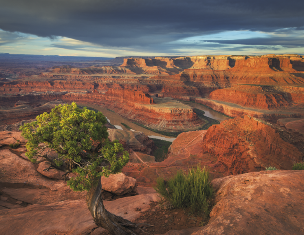 HotLine® Products Contemplations Appointment Calendar - Spiral 66