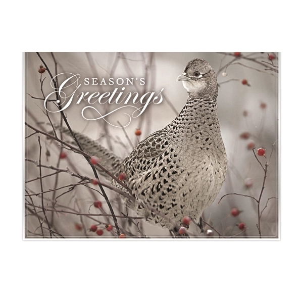 Feathered Friend Holiday Greeting Card 2
