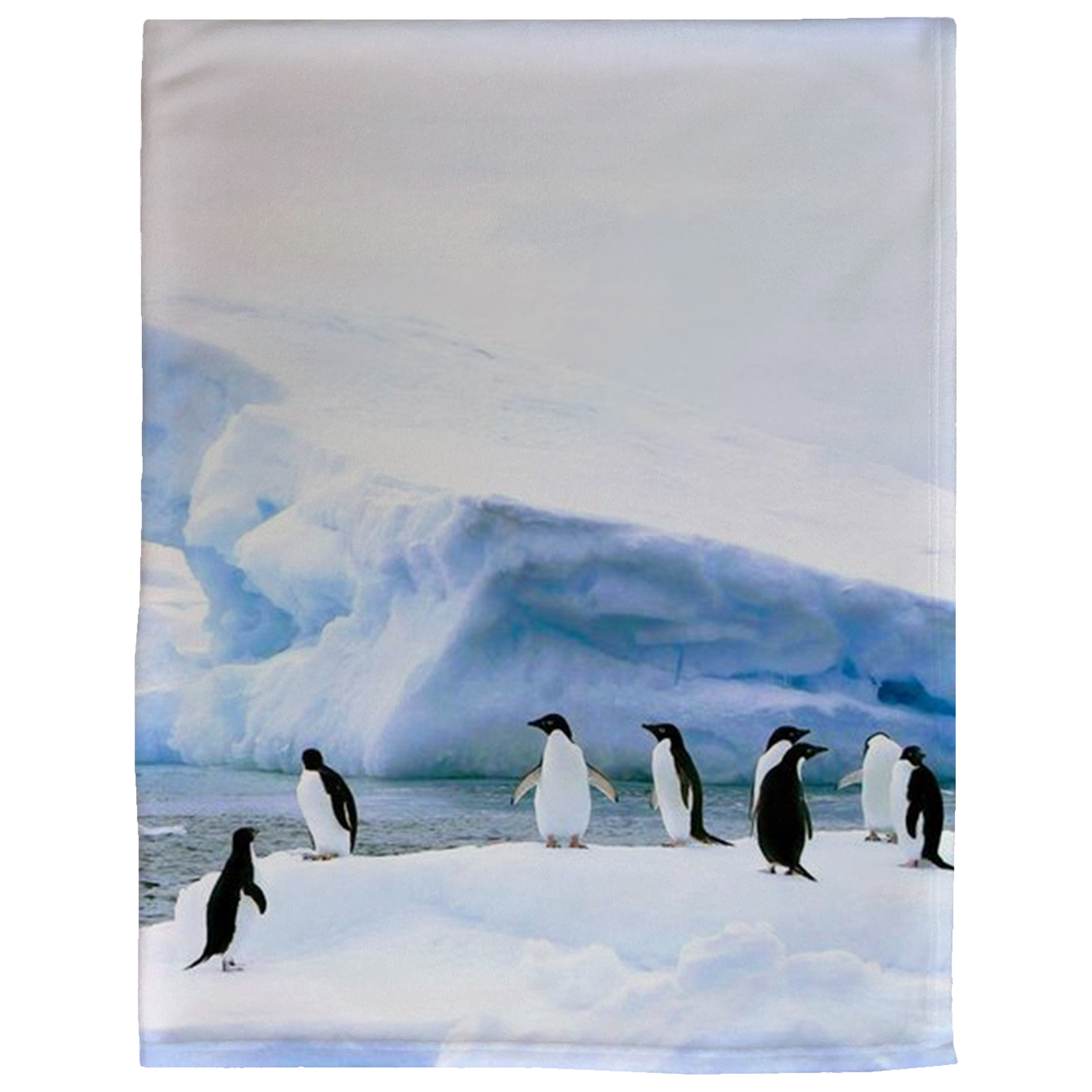 60" x 80" Brushed Polar Fleece Sublimation Blanket 300 GSM 1