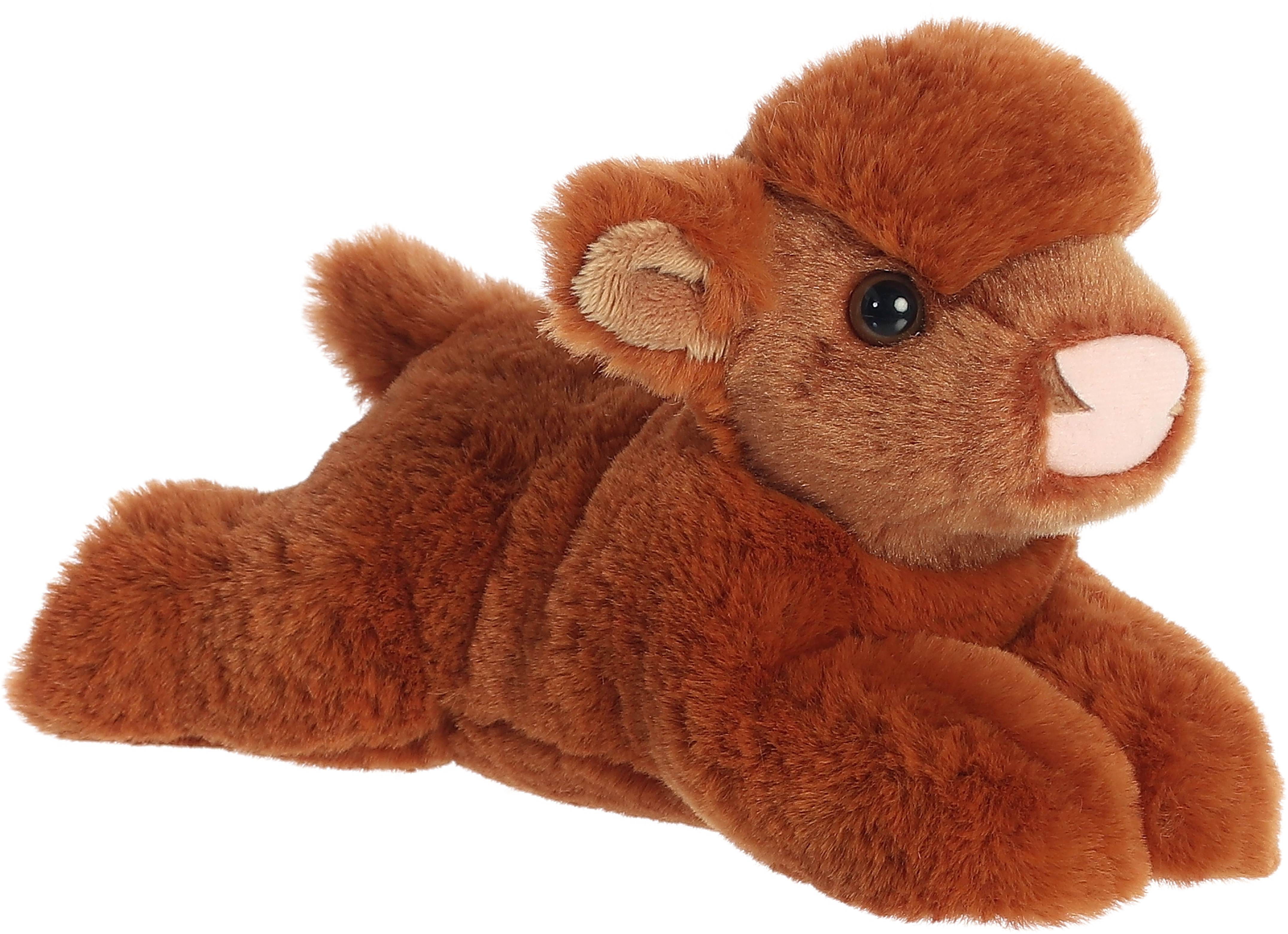 8" Highland cow calf 1