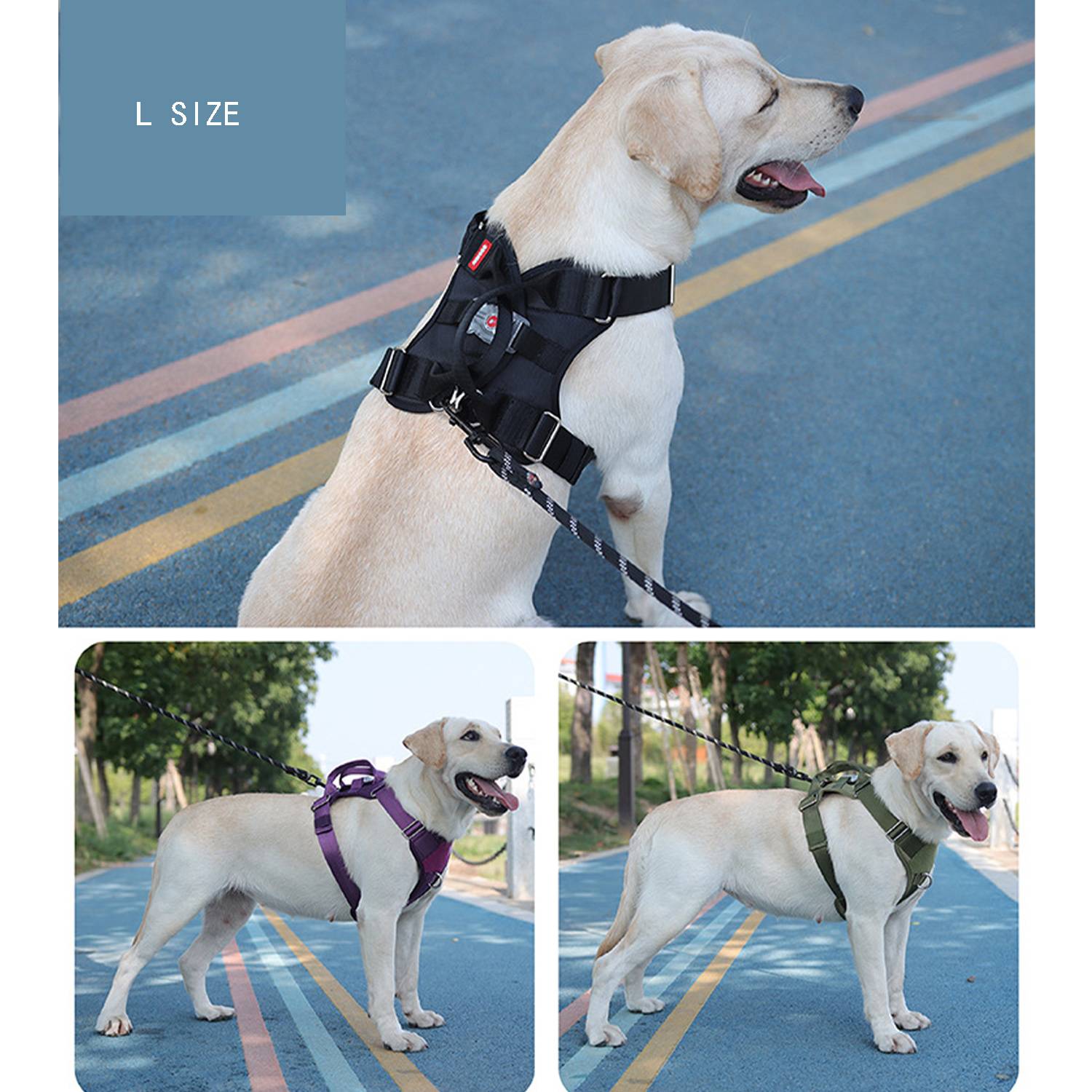 Multiple Sizes Luminous LED Lamp Pet Dog Harness 5