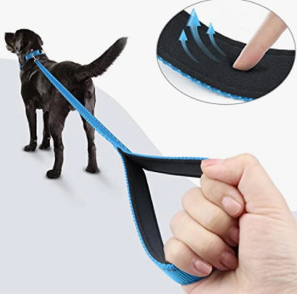 Double Reflective Leash Nylon Leather Strap 2
