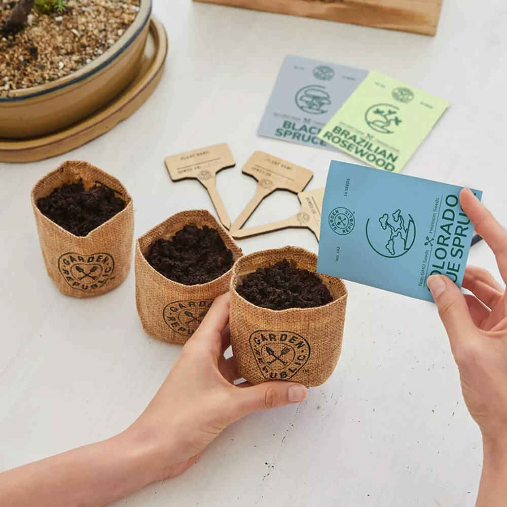 Bonsai Tree Starter Kit