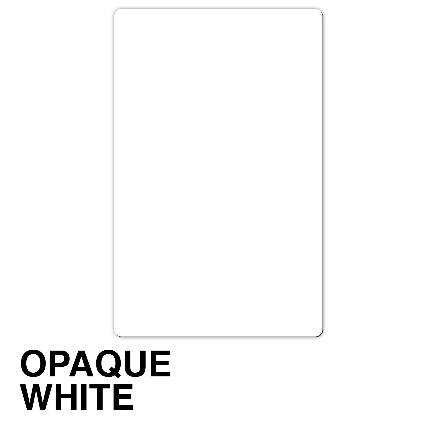 Rectangle Magnet - Full Color (3.5" x 5.5") 2