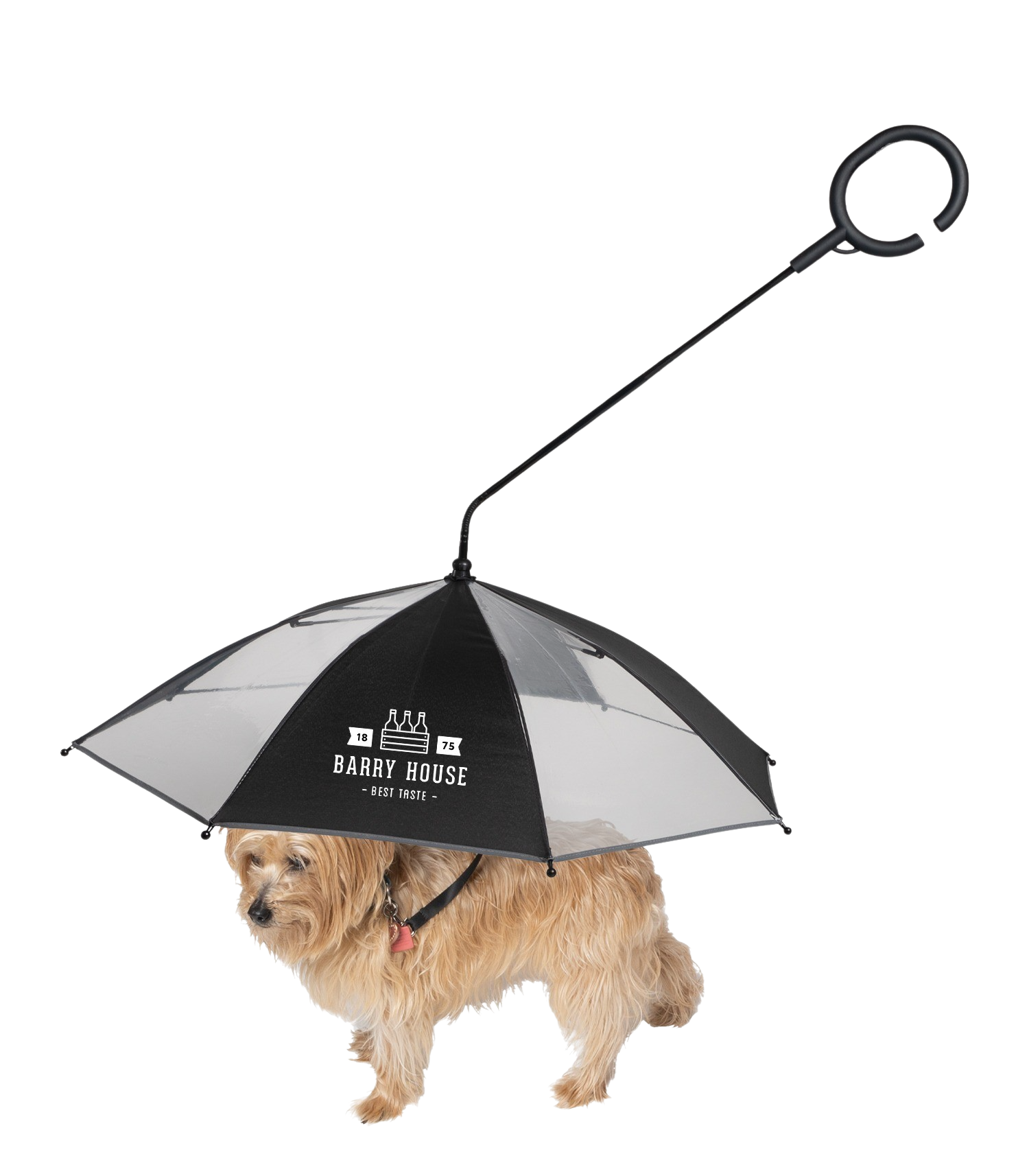 The Doggo Umbrella