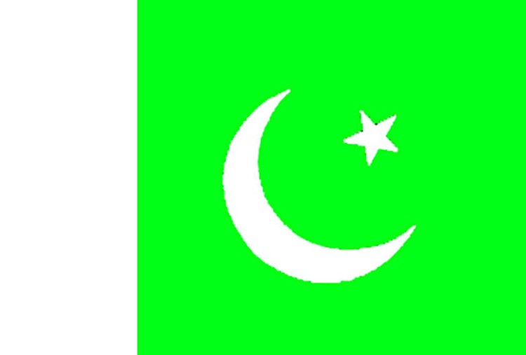 Pakistan Flag - 2' x 3' - Nylon 2