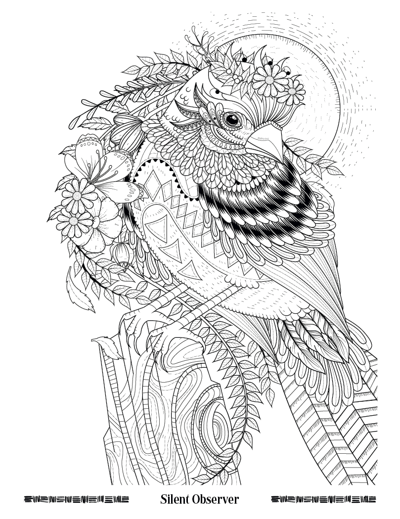 Good Value™ Wild Wonders Adult Coloring Book 2