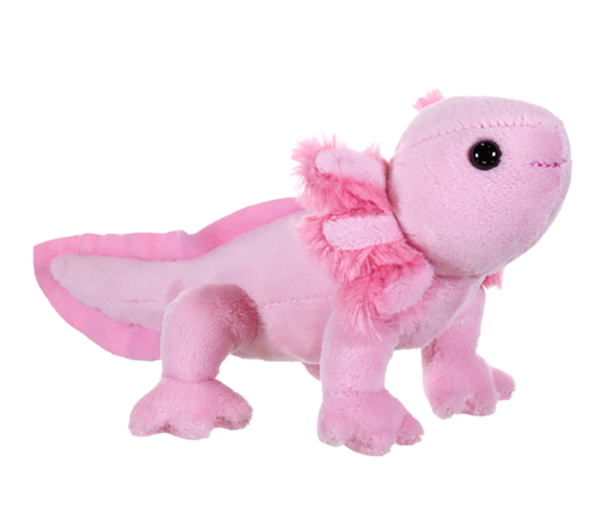 5" Pocketkins Eco Axolotl 2