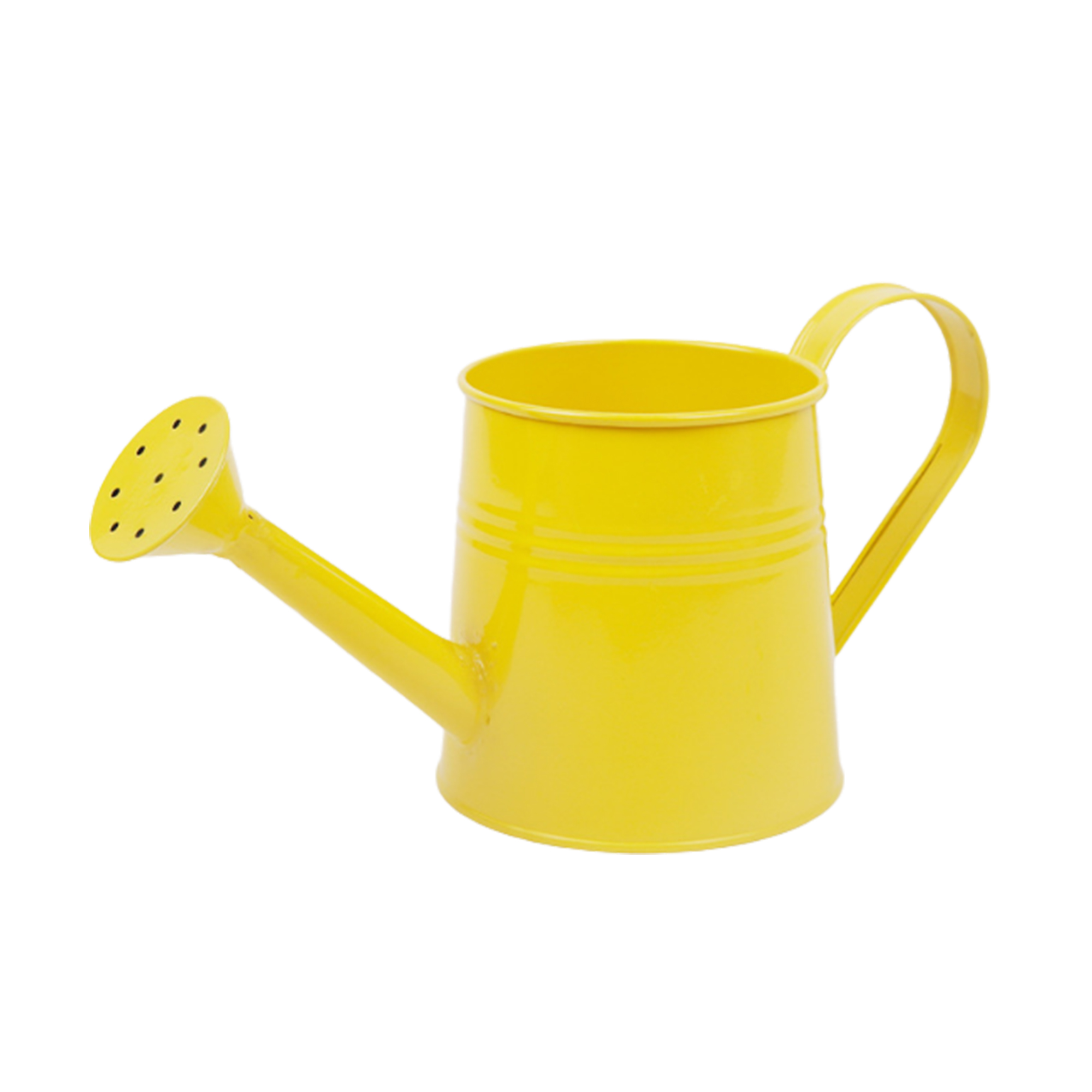 MOQ 50 PCS Sturdy Watering Can Flower Pot Ornament 1