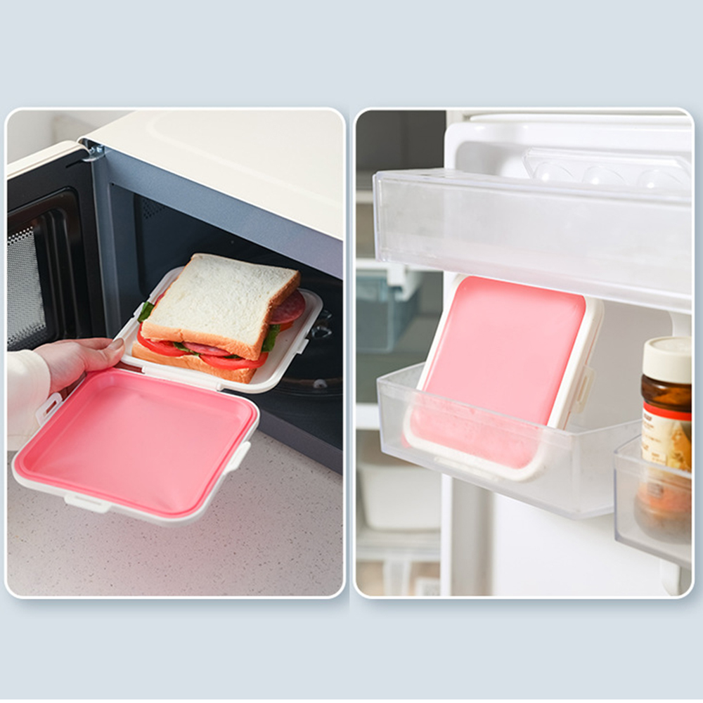 Sandwich Preservation Storage Box 6