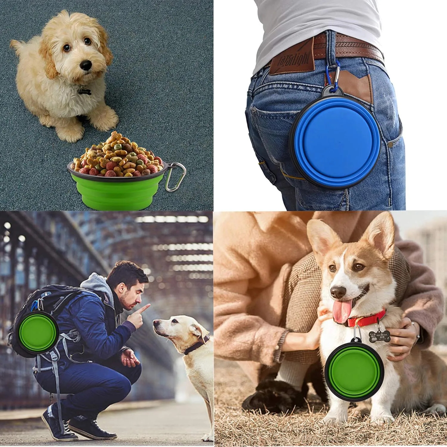 Collapsible Pet Dog Bowl With Carabiner 6