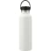 Hydro Flask® Standard Mouth With Flex Cap 21oz 91