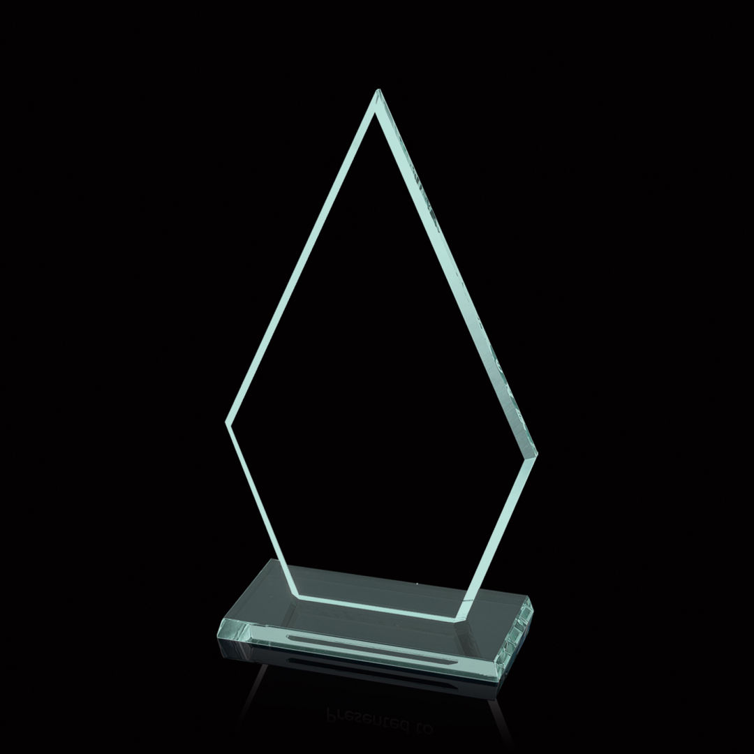 Arrowhead Award 11