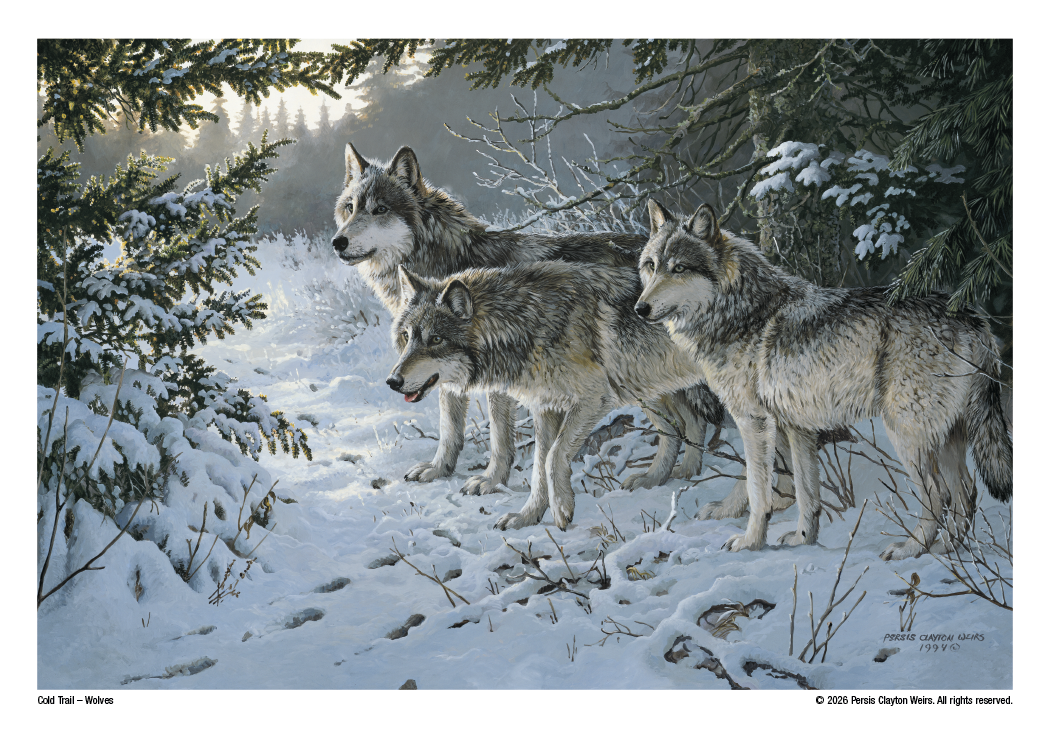 Triumph® Calendars Wildlife Art Calendar 17