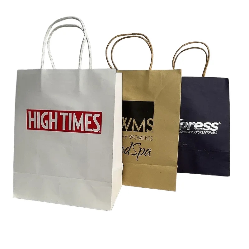 Custom Size And Log Paper Bag 4