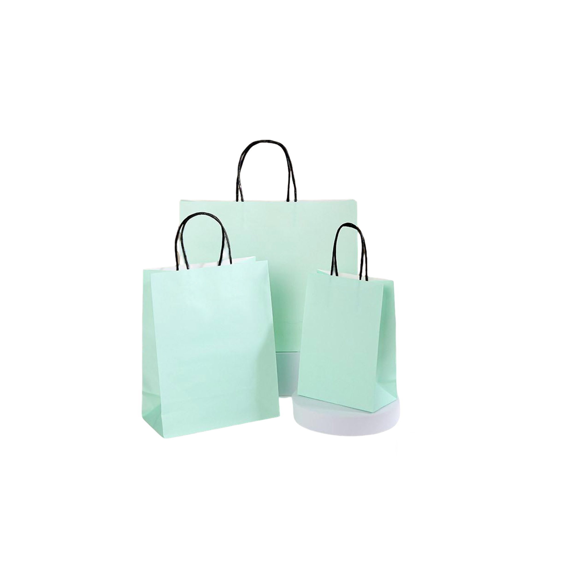 Ink Absorbent Paper Shopping Bag With Twisted Handle 6 x 3.15 x 8.25" 11