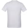 Men's SOMOTO Eco Short Sleeve Tee 69
