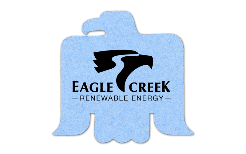 Eagle Compressed Sponge