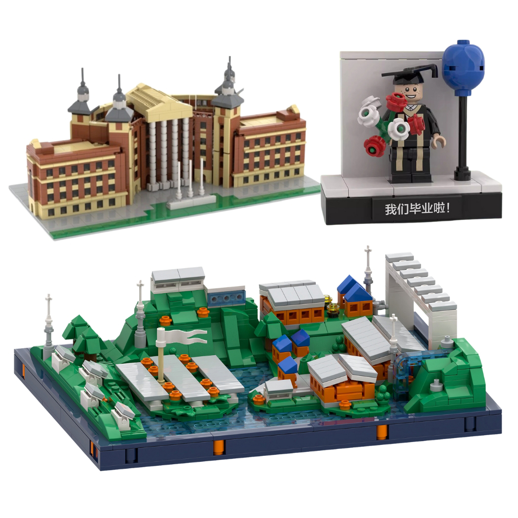 BuildiFull Custom Block Sets MOQ 100 10