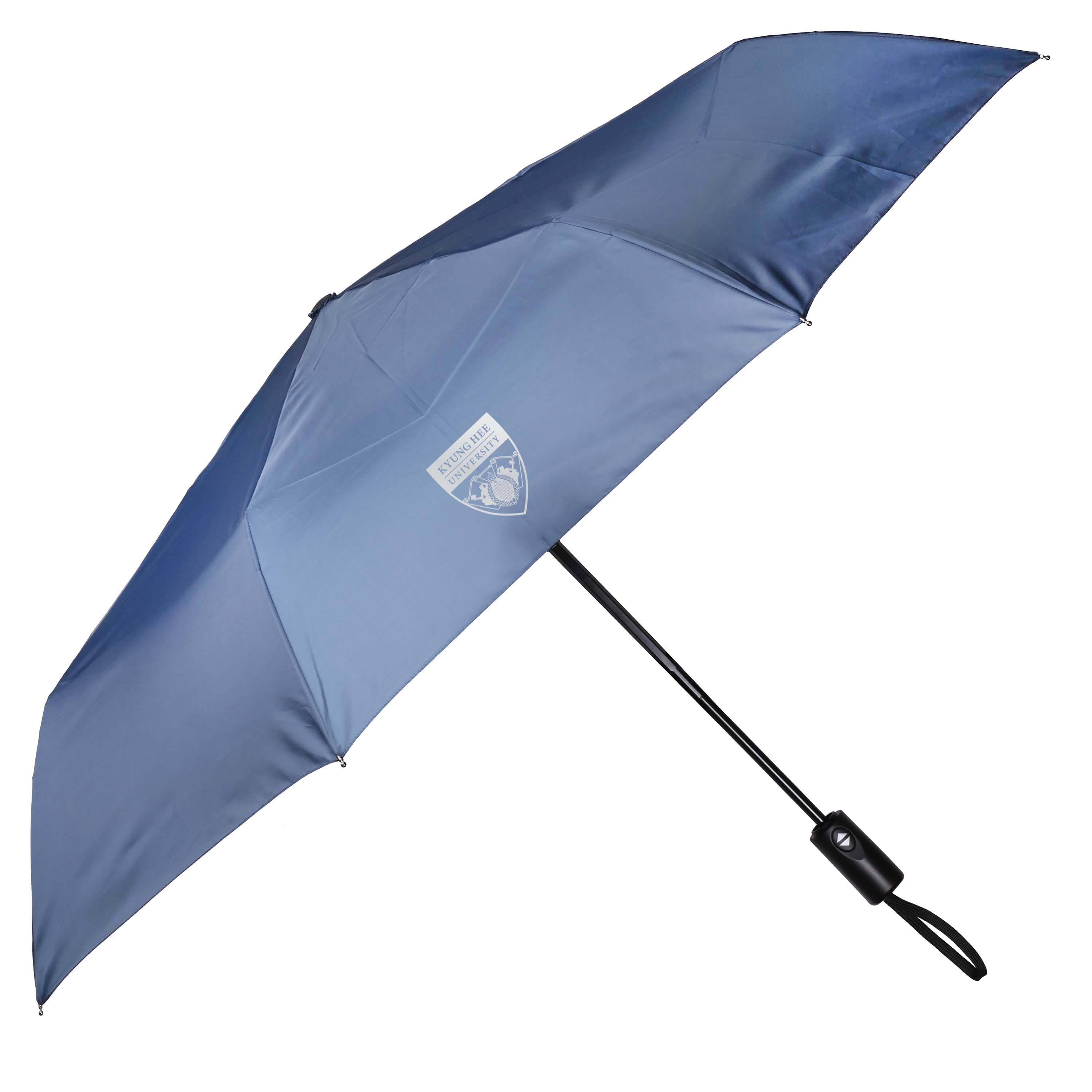 Auto Umbrella 9