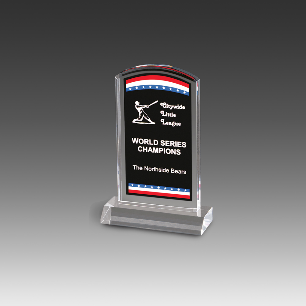 Freedom Corporate Stars Stripes Award (5"x6") 1