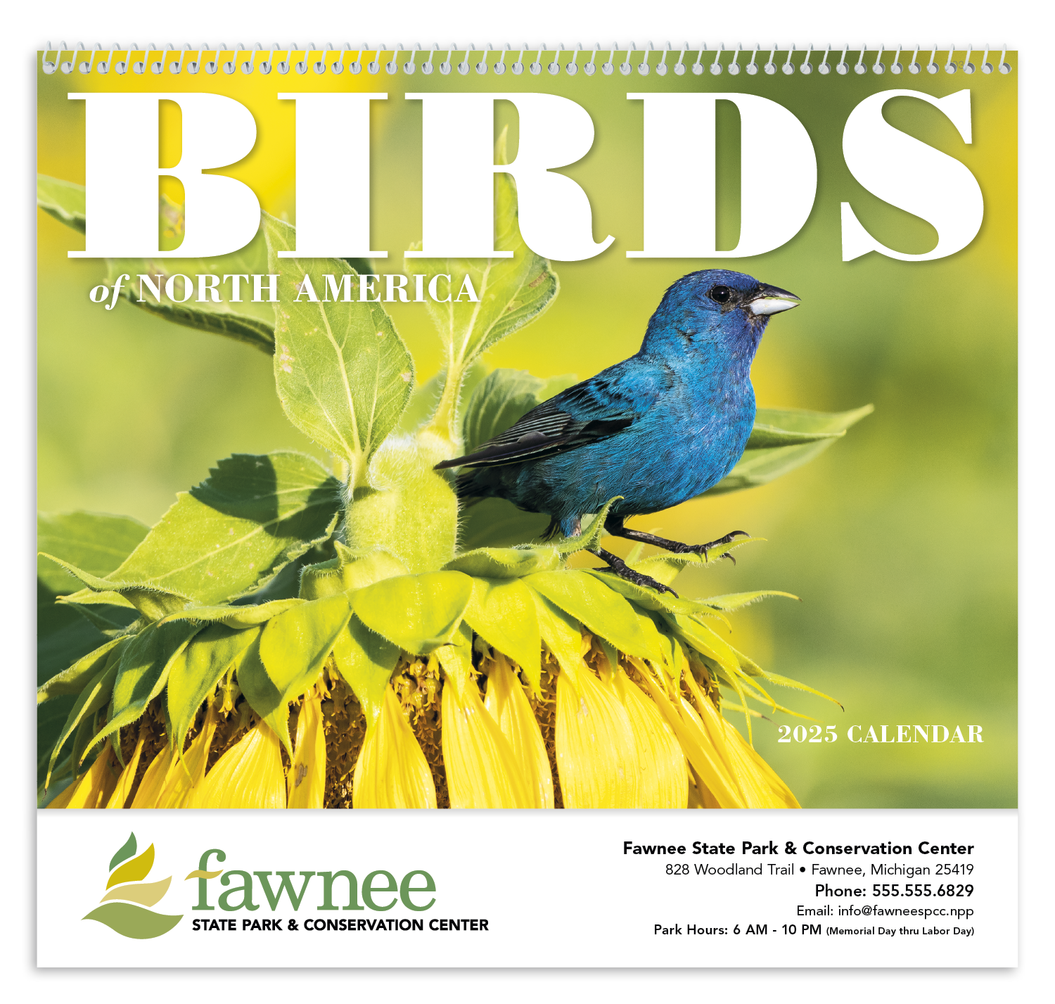 Good Value™ Birds of North America - Spiral Calendar 6