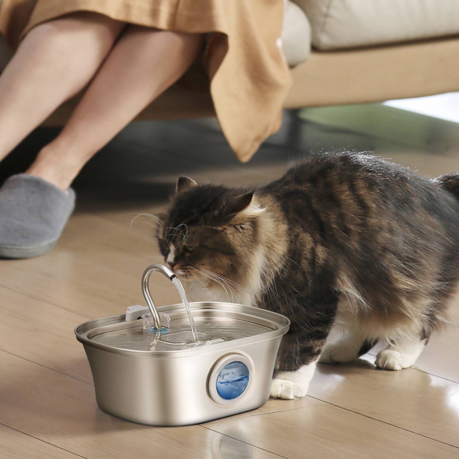 Stainless Steel Cat Water Fountain with Levels Window 4