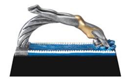 Swimmer Female Motion Xtreme Figure Award 2
