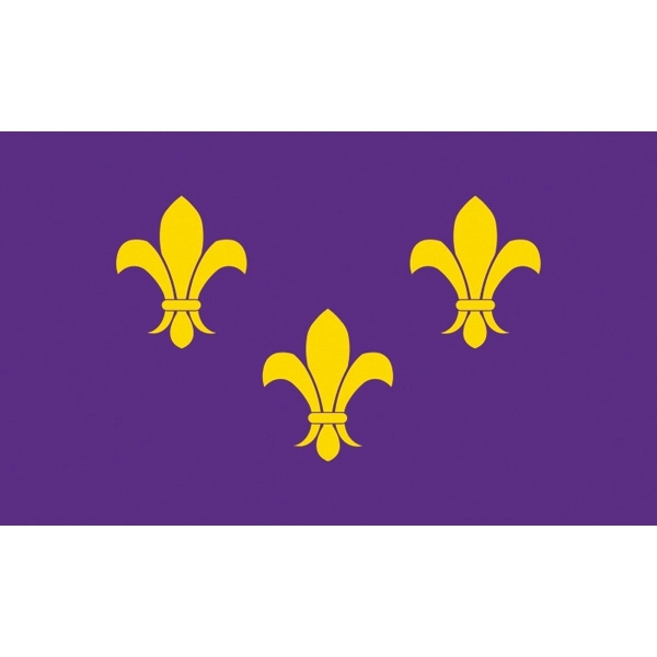 Special Historical Flags - Blue Fleur de Lis 2