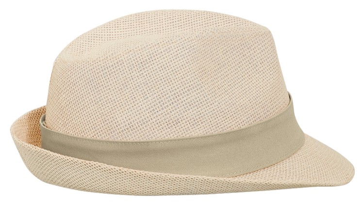OTTO CAP Fedora 43