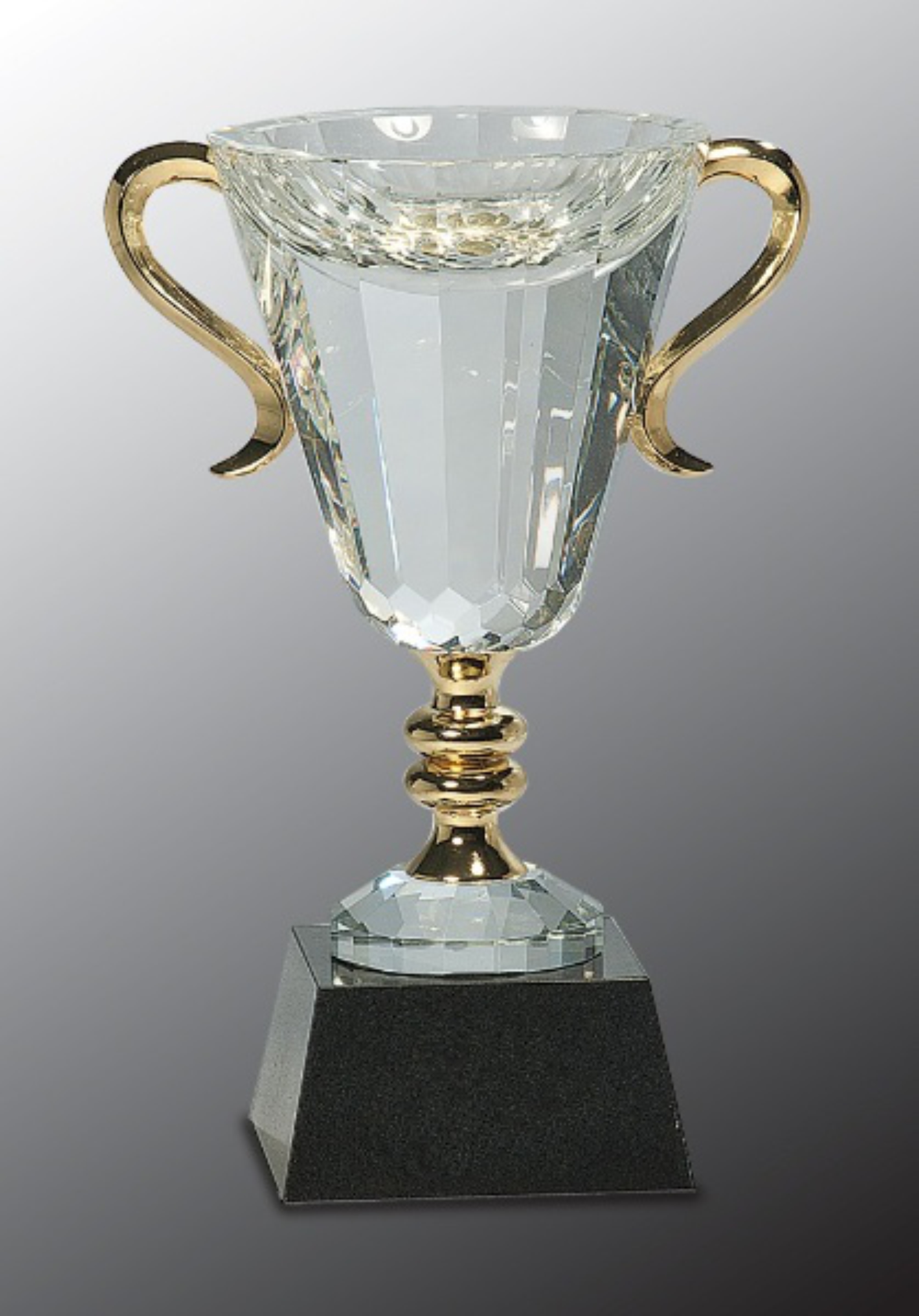 10" Crystal Cup with Gold Handles and Stem Crystal Award 2