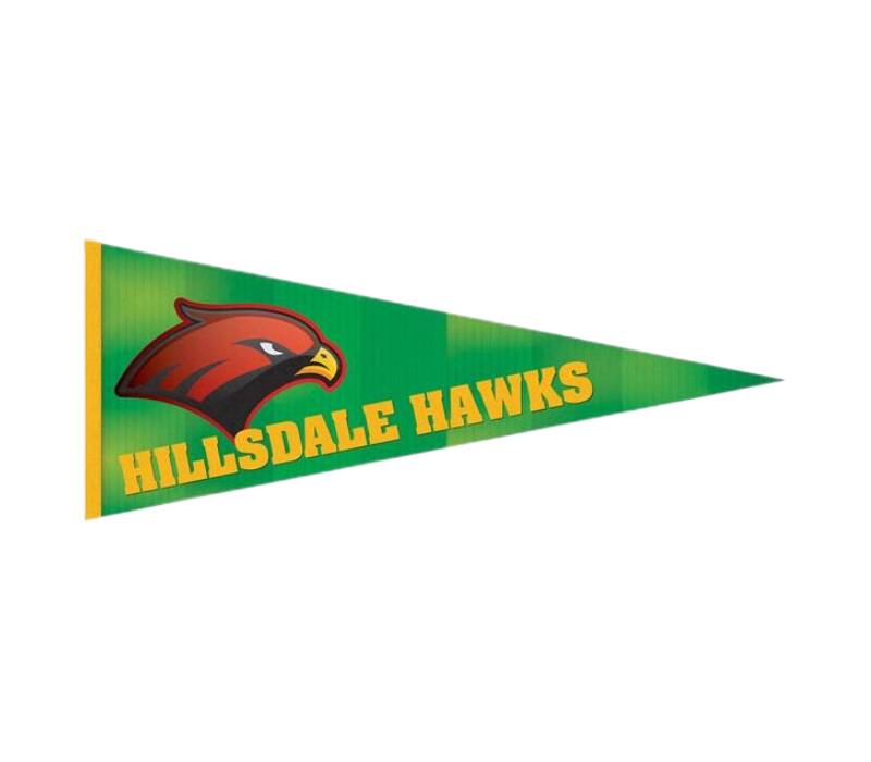 12" x 30" Full Color Felt Pennant Flag Banner 2