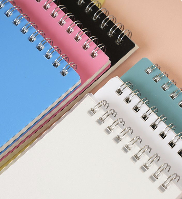 Little Spiral Notebook 8